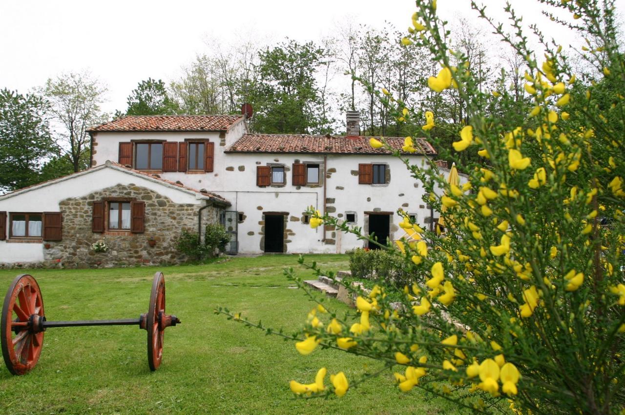 La Guinza Bauernhof Arcidosso