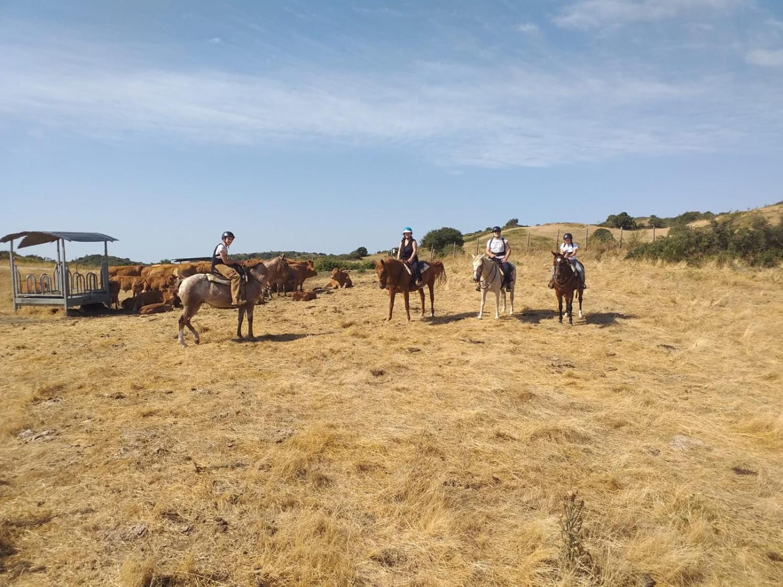 Farm stay La Guinza *
