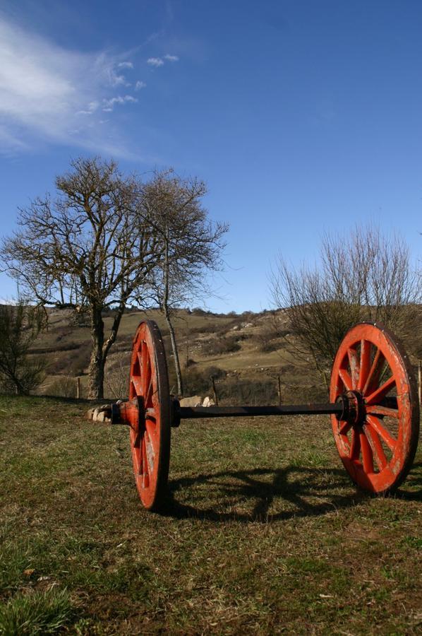 Farm stay La Guinza *