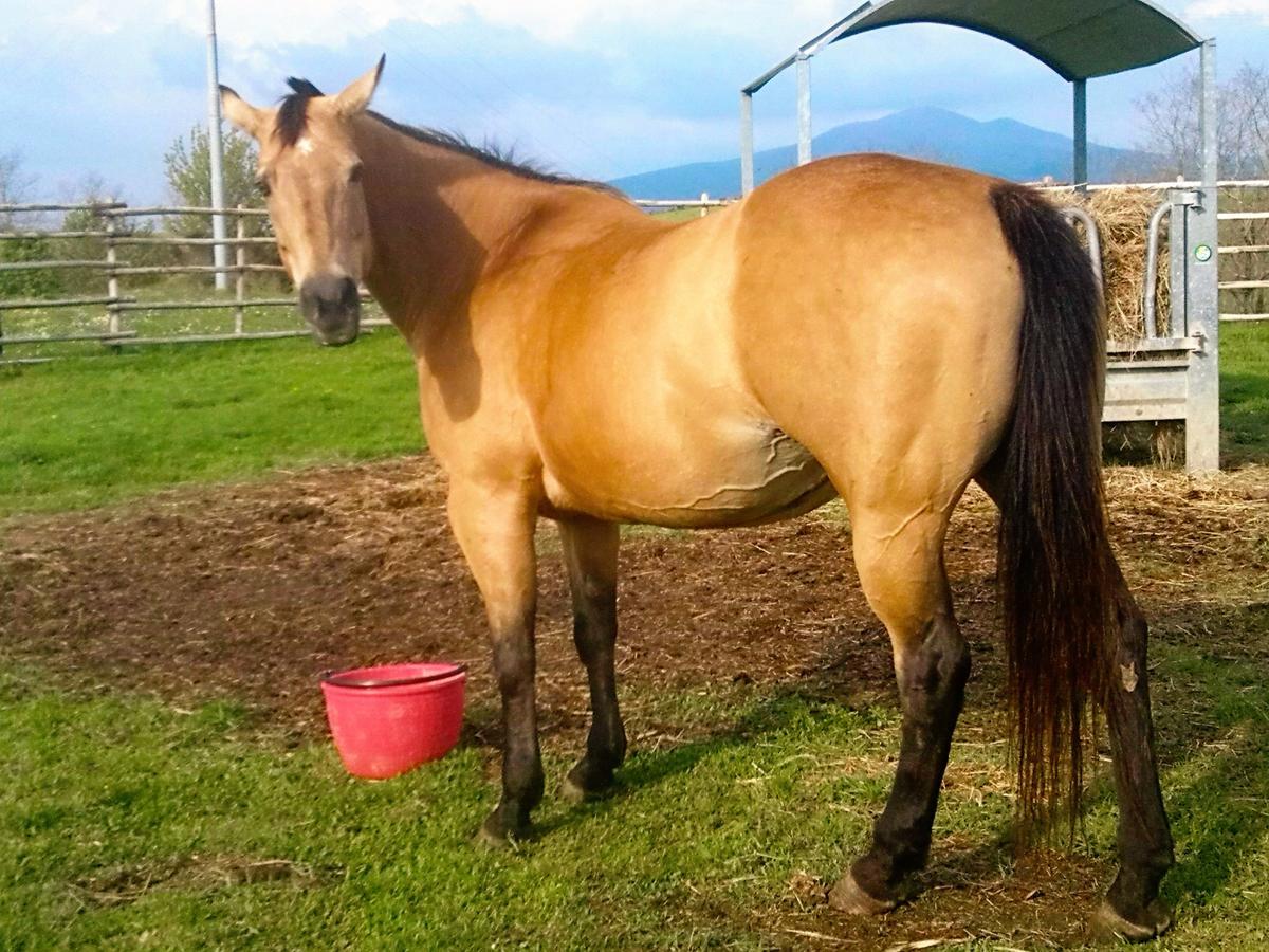 La Guinza Farm stay *