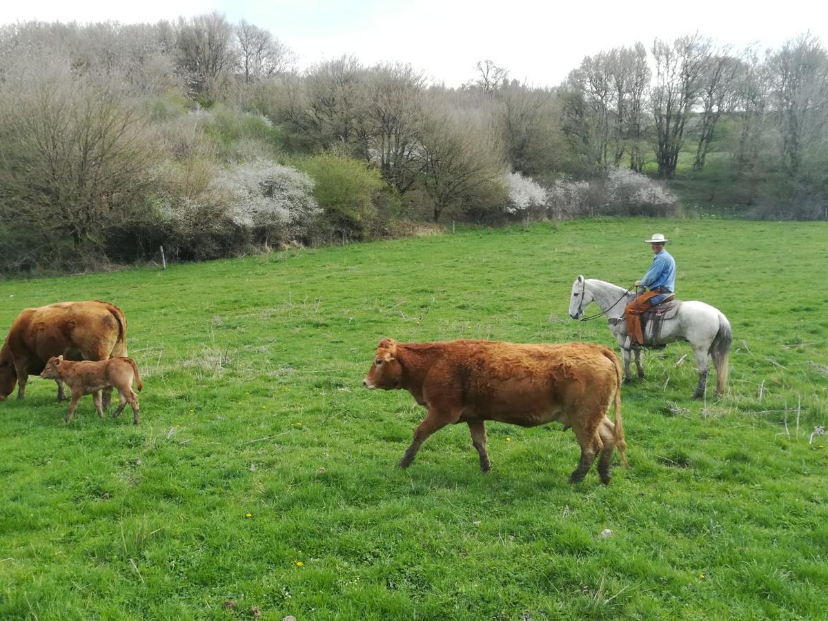 La Guinza Farm stay Arcidosso